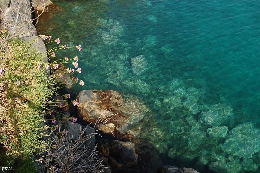 Calabria - scogliera di Copanello e grotte di San Gregorio